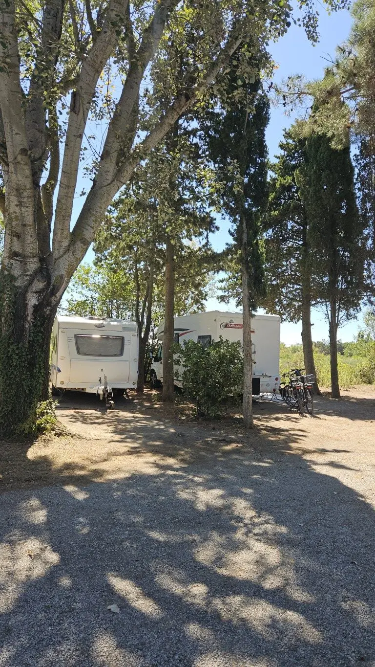 emp11-12-campinglesfloralys-narbonne