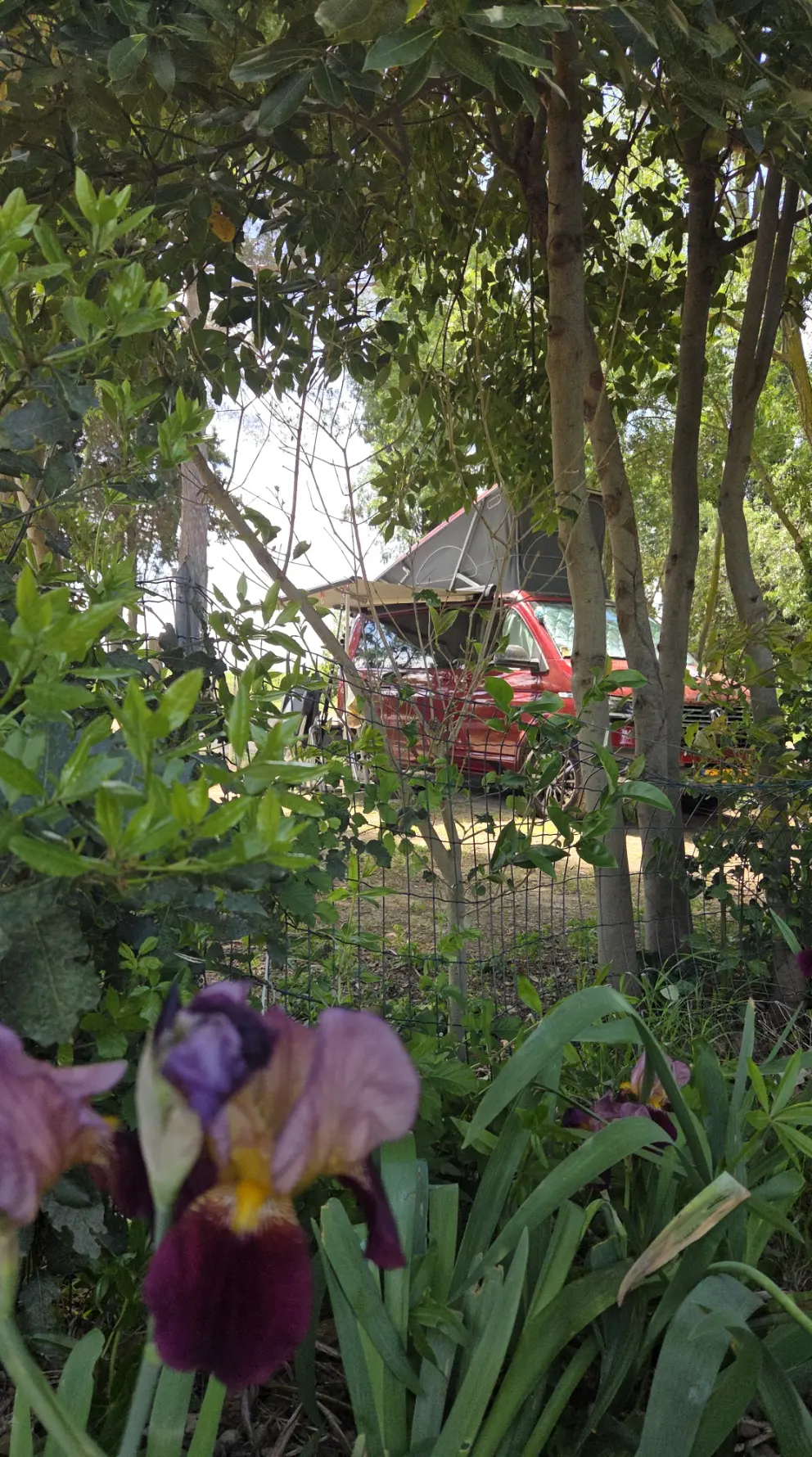 nature empl camping narbonne