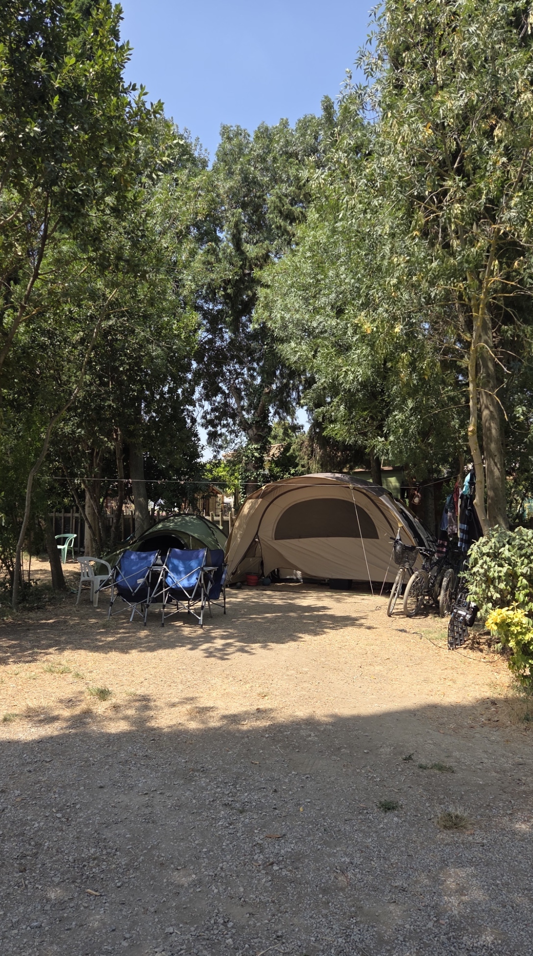 empl 15 072026 camping narbonne lesfloralys