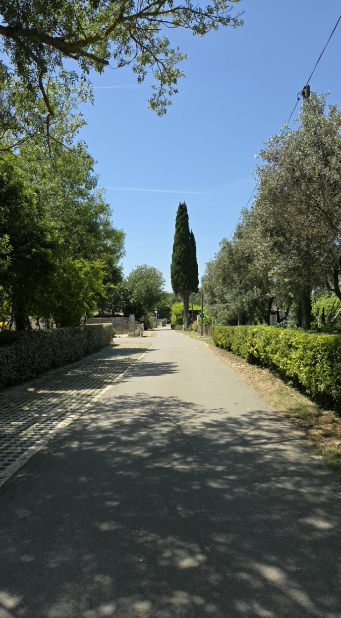 mai2026 camping les floralys nature calme narbonne